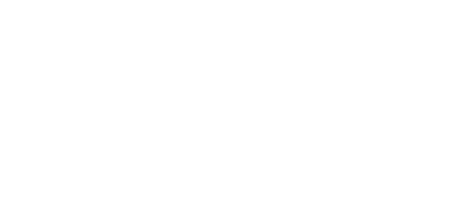 Honor 13